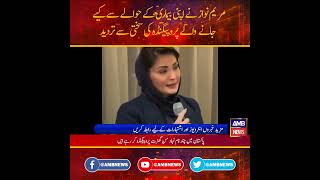 Chief minister Punjab madam maryam Nawaz Sharif media talk in london after checkup Switzerland uk [upl. by Ateuqahs631]