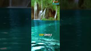 8 Plitvice Lakes A Natural Wonderland You Need to See [upl. by Ciapha]