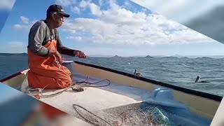 Andando pescando camarón en la bahía de Guaymas sonora todo marchaba bien pero ni modo [upl. by Charlene]