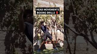 HEAD MOVEMENT BOXING DRILLS boxing boxeo boxingdrills headmovement boxingdrill short [upl. by Artenal]