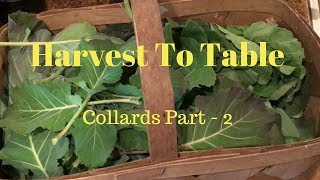 Harvest To Table  Collards Part 2 [upl. by Nevyar733]