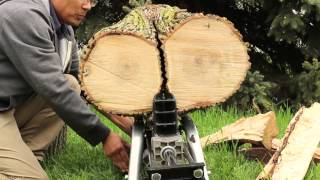 WEN Lumberjack 6Ton Electric Log Splitter [upl. by Seagraves]