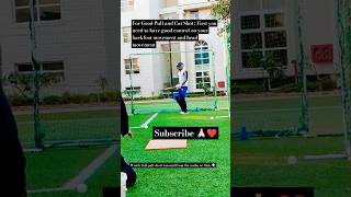 Short ball training Drill  Pull shot🏏 trainingseason procamps cricket cricketshorts ytshorts [upl. by Steck399]