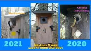 Nestbox no 4 used in different years by greattit 2020 and piedflycatcher 2021 [upl. by Ettedualc99]