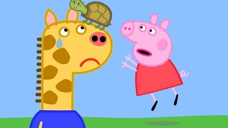 🐢 Finding Tiddles the Tortoise with Peppa Pig [upl. by Sivar]