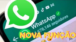 NOVA ATUALIZAÇÃO do WHATSAPP 2024 [upl. by Ermengarde]