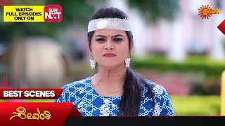 Sevanthi  Best Scenes  03 Aug 2023  Kannada Serial  Udaya TV [upl. by Keraj931]