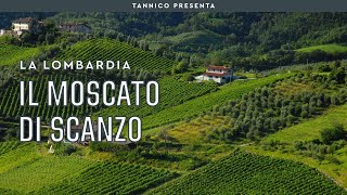 Il Moscato di Scanzo la quasi più piccola DOCG italiana  Tannico [upl. by Tillie700]