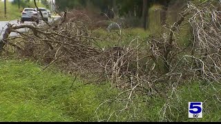 Donna residents concerned with lack of brush pickup [upl. by Yhtir]