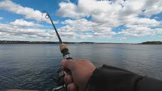 Fishing at Halifax Waterfront Nova Scotia [upl. by Nynnahs611]