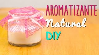 Aromatizante Natural Casero  En 5 minutos  Receta Fácil  Mini Tip 51 [upl. by Ahsam]