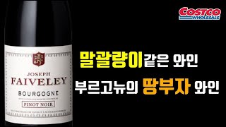 페블레 피노누아 Faiveley Bourgogne Pinot Noir 코스트코 와인 추천 가성비 좋은 기본급 부르고뉴 피노누아 와인과 모듬회의 마리아주 실험 51편 [upl. by Vandyke508]