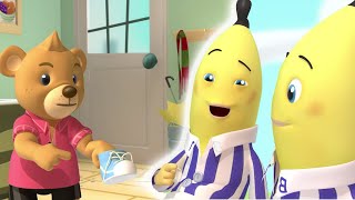 Morgans Smelly Sneakers  Bananas in Pyjamas Season 1  Full Episodes  Bananas In Pyjamas [upl. by Kort]