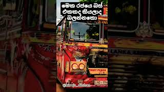 87 පාරෙ ctb වැඩ්ඩා i point pardo king srilankabussubscribenowlikebus [upl. by Ahsiekim]