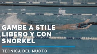 NUOTO GAMBE A STILE LIBERO Y CON SNORKEL [upl. by Nerat]