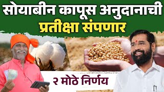 सोयाबीन कापूस अनुदानाची प्रतिक्षा संपणार 2 मोठे निर्णय  Bhavantar Yojana  Soyabean Kapus Anudan [upl. by Hallee368]