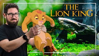 I Built a LION KINGInspired Planted Aquarium [upl. by Eimas]