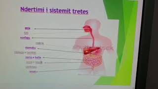 Biologji klasa 6Aparati tretes i njeriut [upl. by Moffitt]