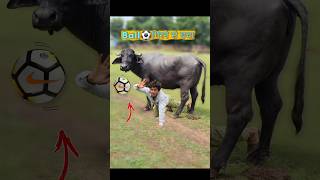 Ball⚽Ground में गिरने से बचाओ3😱🤯 comedy football [upl. by Nywra]