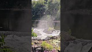 Patterson Great Falls nature shorts trending viralvideo youtubeshorts trendingshorts usa wow [upl. by Fidellia70]