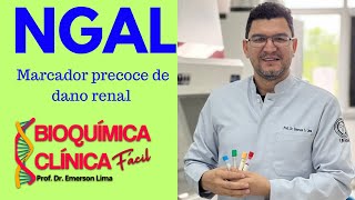 NGALMARCADOR PRECOCE DE DANO RENAL [upl. by Toblat816]