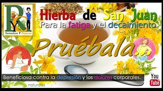 🍵 Hierba de San Juan o Hipérico para subir y levantar el estado de ánimo la fatiga y el decaimiento [upl. by Eetsirhc]