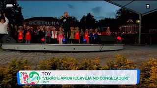 Toy  Verão E Amor Cerveja No Congelador [upl. by Sochor]