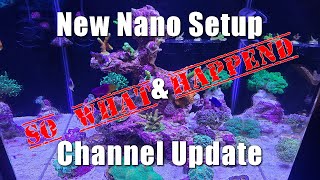 New Nano Reef Setup and Channel Update [upl. by Wanda]