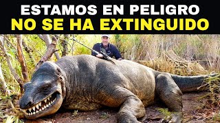 Animales Extintos Que Fueron Captados En Cámara Y Sorprendieron Al Mundo Entero [upl. by Valerlan]