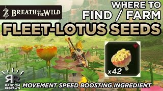 Zelda Breath of the Wild  Where to FindFarm FleetLotus Seeds Speed Boosting Ingredient [upl. by Olegnaid]