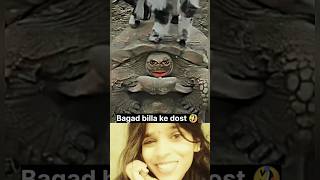 Mood kharab kar Diya 🤣😂 funny bagadbillacomedy bagadbilla funnyvideo comedy viralvideo [upl. by Anirdnaxela]