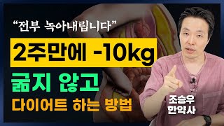 가득 쌓인 지방 2주만에 제거하는 방법 조승우 한약사 [upl. by Aisiat]