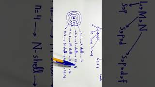 Shells amp subshells Explained in Urdu  Chemistry class 11 shorts youtubeshorts chemistry [upl. by Aurore]