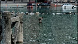 Selangor coastal areas experience high tide but under control [upl. by Scheer]