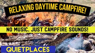 Daytime Campfire No Music Relaxing Campfire Sounds [upl. by Aklam]