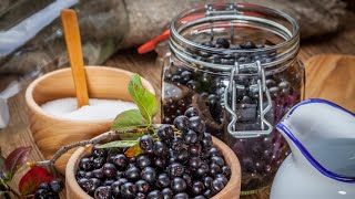 Aronia Berry Health Benefits aka Chokeberries Plus 3 Tasty Recipes [upl. by Eleinad]