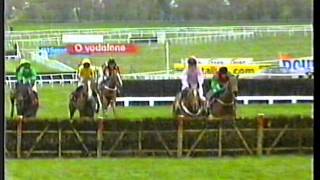 2000  Cheltenham  Bonusprint Stayers Hurdle  Bacchanal [upl. by Naitsihc]