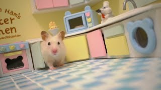 Tiny Hamster in his Tiny Kitchen II [upl. by Eyeleen411]