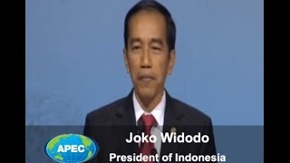 Joko Widodo President of Indonesia at the APEC CEO Summit [upl. by Parrnell]