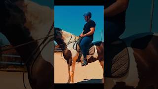 Men skewbald mares and horseriding lessons ygequestrian [upl. by Benedicto]