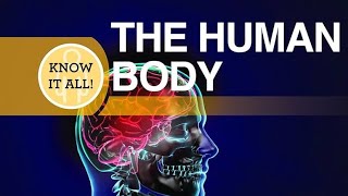 The Ultimate Human Anatomy Study Guide [upl. by Ozmo]