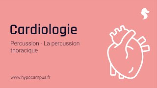 La percussion thoracique  Percussion en Cardiologie [upl. by Abner]