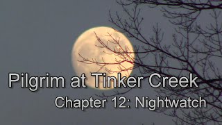 Pilgrim at Tinker Creek chapter 12 discussion [upl. by Adraynek357]