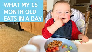 WHAT MY ONEYEAROLD TODDLER EATS IN A DAY  15 MONTHS OLD  MEAL IDEAS  FOOD DIARY [upl. by Gregson433]