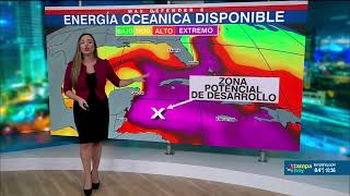 Area en el Caribe tiene un 30 de probabilidad de desarrollo tropical  Vigilando Los Tropicos [upl. by Ivette]