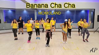 Banana Cha Cha Momoland Bunga Crew feat TML Crew [upl. by Ahsiki]