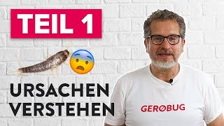 Die Silberfisch Lösung  Teil 1  Die Ursachen verstehen [upl. by Tabshey]