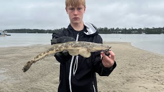 Port Macquarie fishing awesome little session [upl. by Esenwahs442]