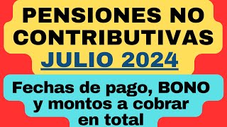 Pensiones No Contributivas PNC en JULIO 2024 Fechas de PAGO BONO y montos a cobrar en total [upl. by Naujd879]