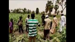 Farmers  Regreening the Sahel [upl. by Schoening]